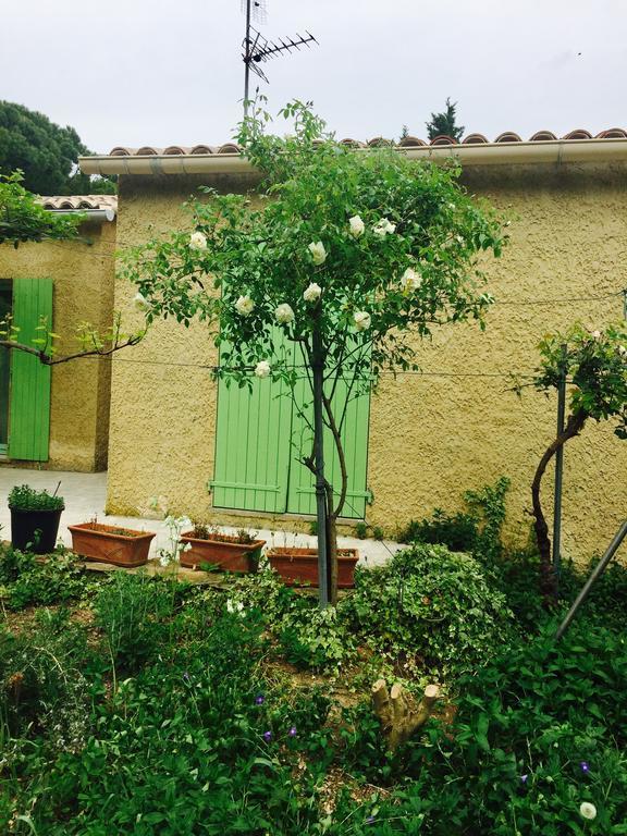 Villa La Marpierre Mondragon エクステリア 写真