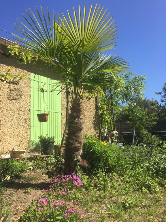 Villa La Marpierre Mondragon エクステリア 写真
